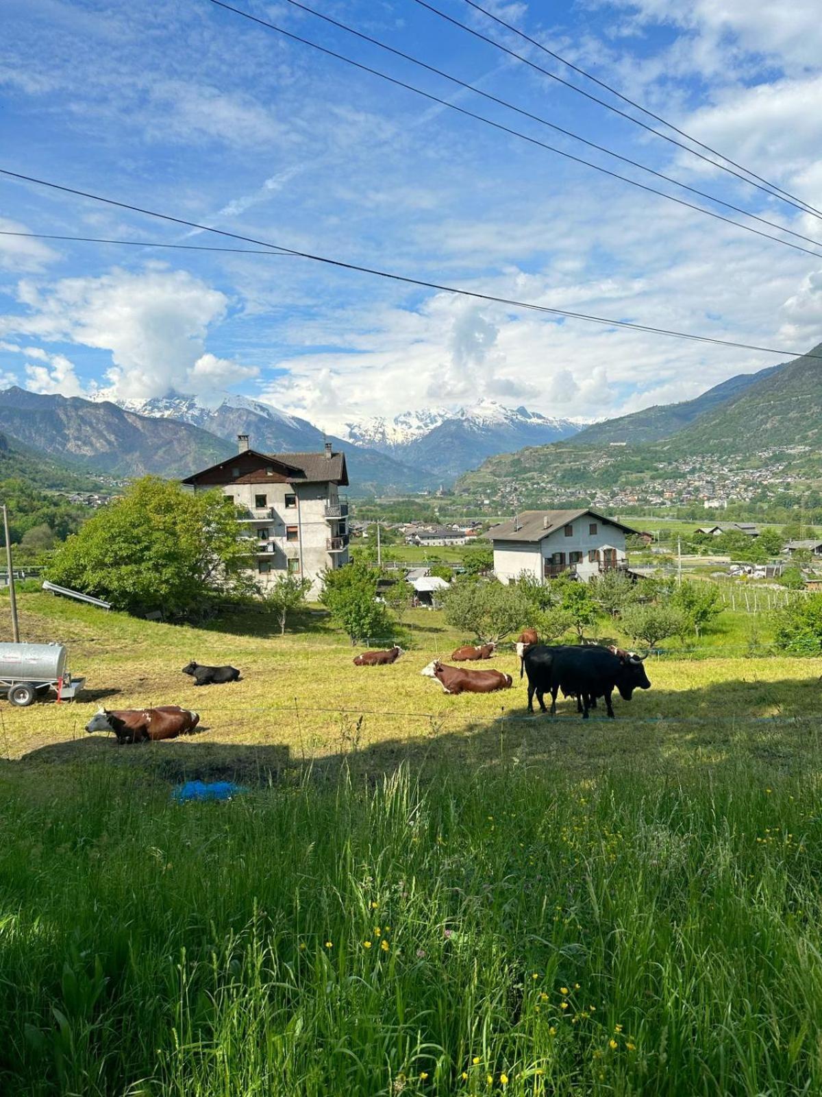 Maison Clair Vda Gressan N 0094 อาออสตา ห้อง รูปภาพ